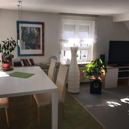Casa Christina Apartment Orschweier